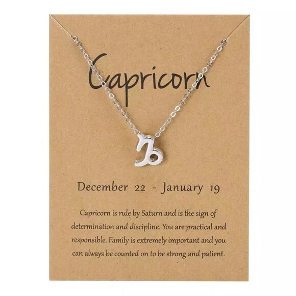 🆕Capricorn Zodiac Astrology Pendant Necklace - Picture 1 of 5
